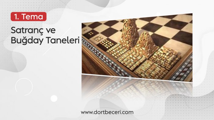 SATRANÇ VE BUĞDAY TANELERİ